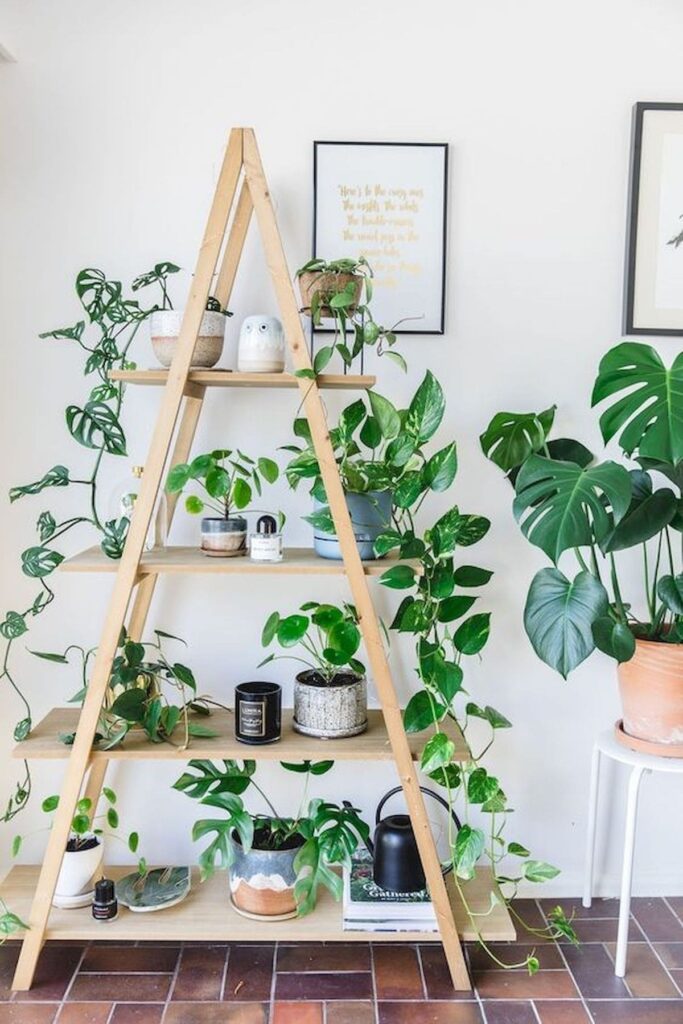 a shape plant stand