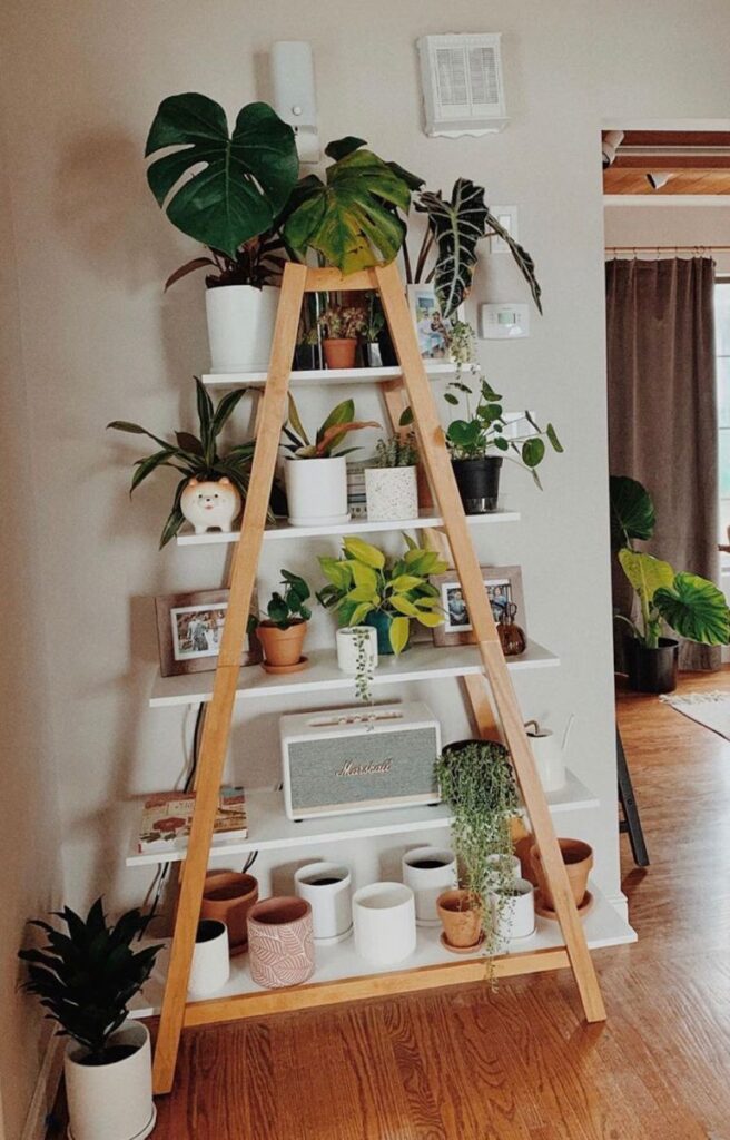 a frame plant stand