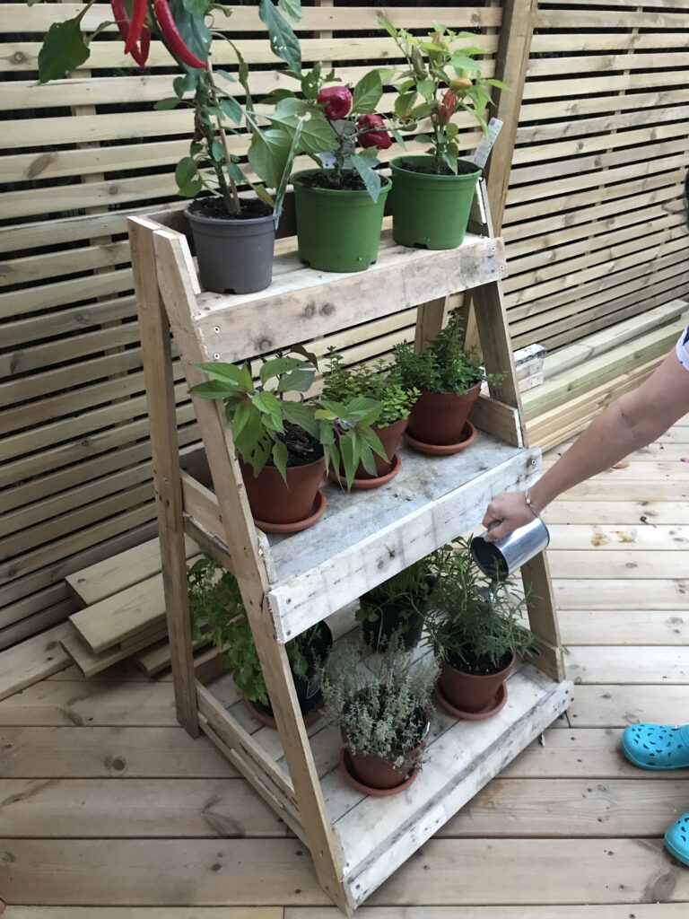 herb pallet ladder shelf