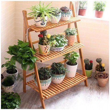 ladder with potted plants