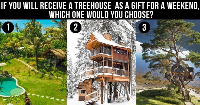 Dreamy vacation in a treehouse