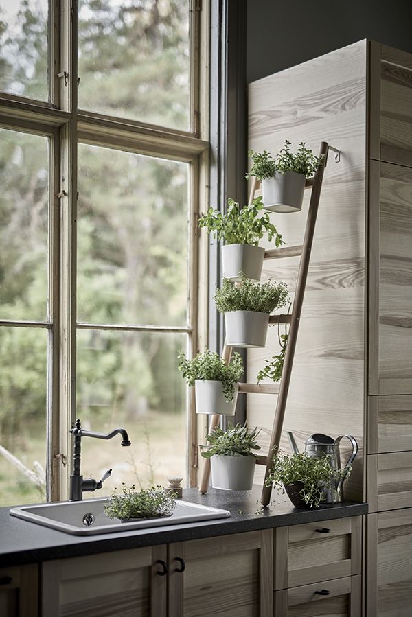 kitchen ladder planter