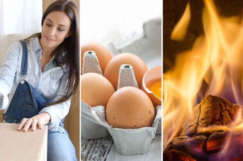 9 great uses of the egg carton that will be very useful