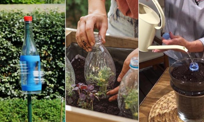 4 uses of plastic bottles in gardening