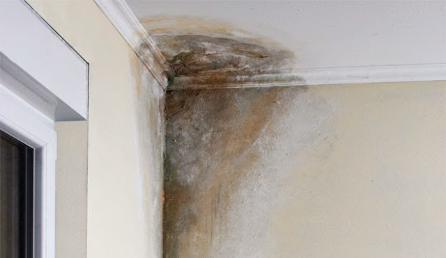 Eliminate Moisture Problems In Your Home with These Easy Tricks!