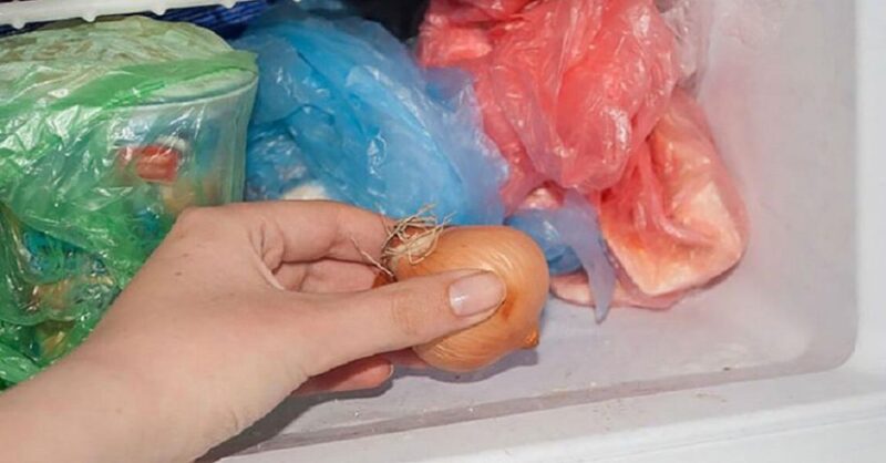 Why put onions in the freezer