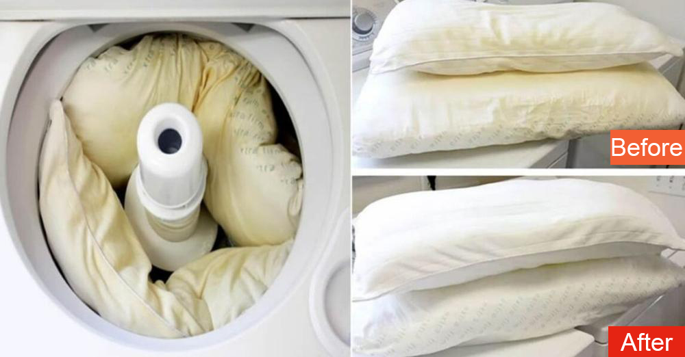 How To Wash A Pillow 3 Tricks To Make It White   Sdasdsa 