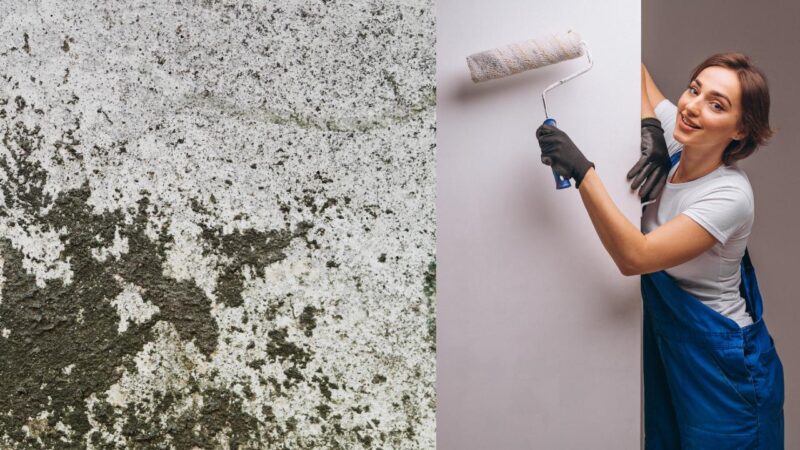 How to repair a wall damaged by humidity? Easy, fast and super effective method