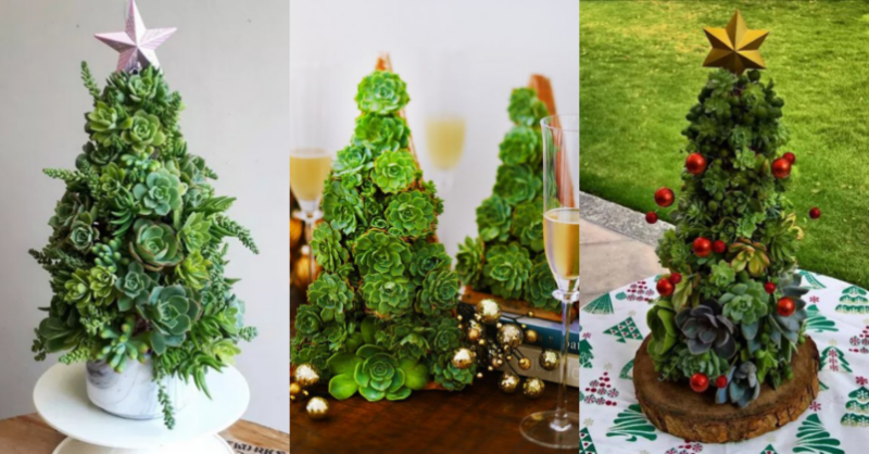 10 ideas to make Christmas Trees with Succulents