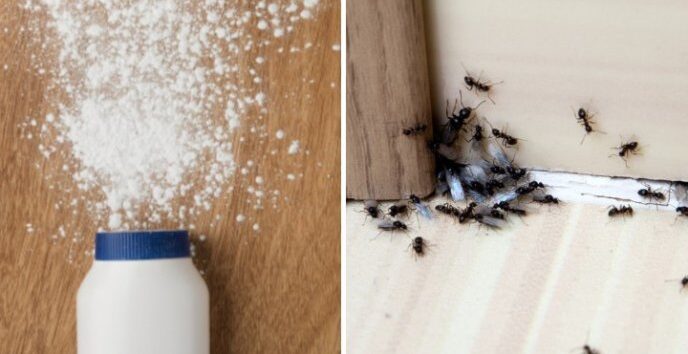 3 Uses For Baby Powder You Didn’t Know About