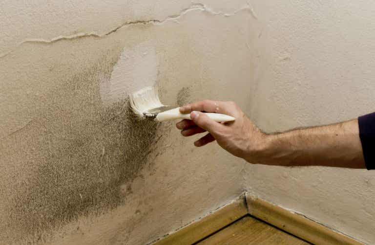 4 Ways to Remove Moisture in Your Home