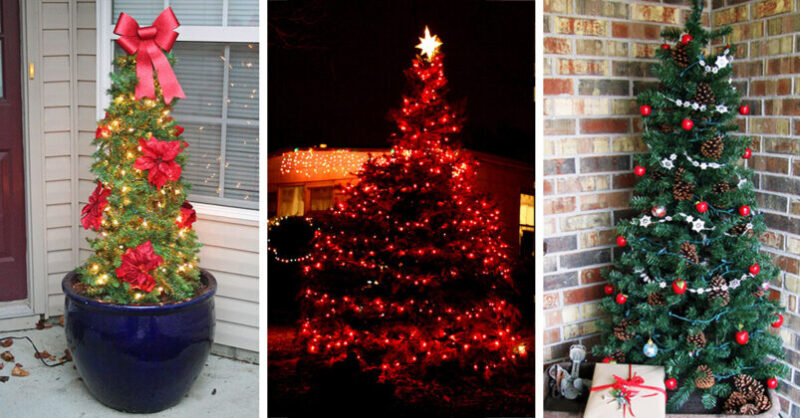 11 beautiful outdoor Christmas tree decorations