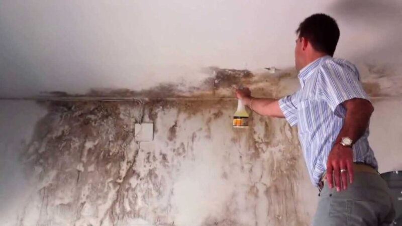 10 Tricks to Remove and Avoid Damp Stains on Walls