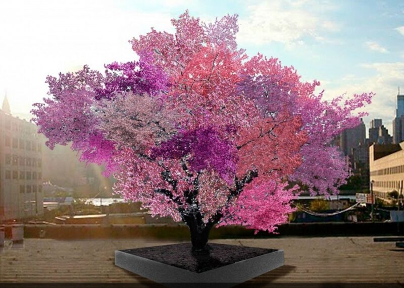 The 15 most beautiful trees in the world