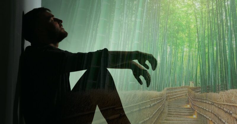 The fable of the fern and the bamboo that you should read when you go through a difficult time