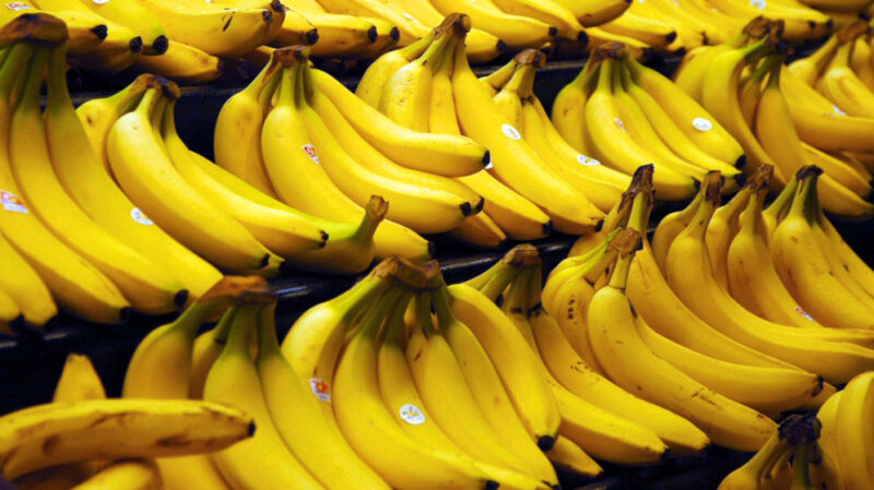Which banana would you choose? You’ve been buying the wrong ones your whole life