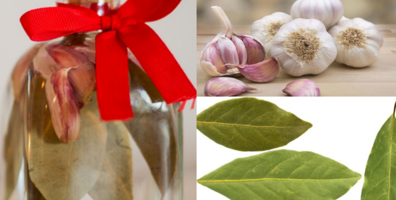 If you put garlic and laurel inside a glass jar, you will get abundant luck in 2022. But you have to do it as we explained