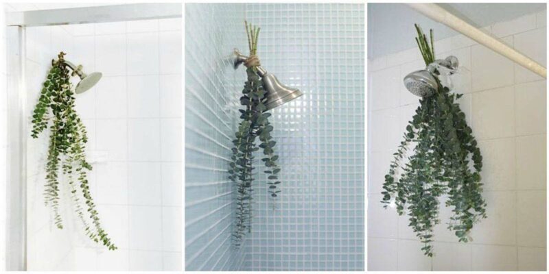 Eucalyptus “bathroom bouquets” are the easiest way to make your shower smell amazing. They can even potentially help relieve your allergies and pain