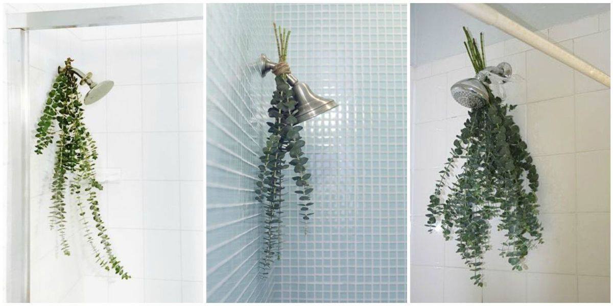 Eucalyptus “bathroom bouquets” are the easiest way to make your shower smell amazing. They can even potentially help relieve your allergies and pain
