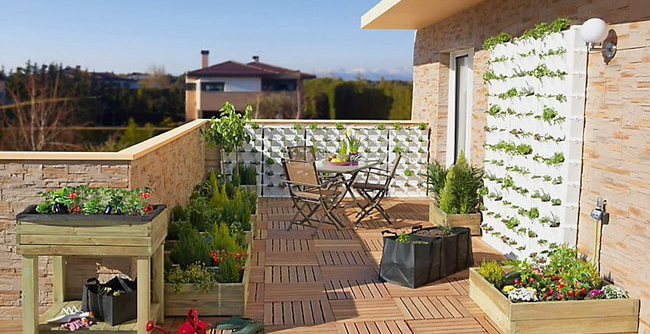 How to create your own urban garden at home