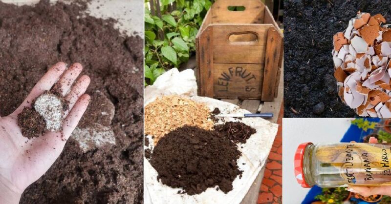 How to make 8 Types of Homemade Organic Fertilizer for Plants