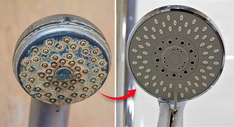Inexpensive Home Remedy to Unclog the Showerhead