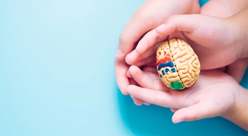 Giving your children experiences instead of toys increases their intelligence