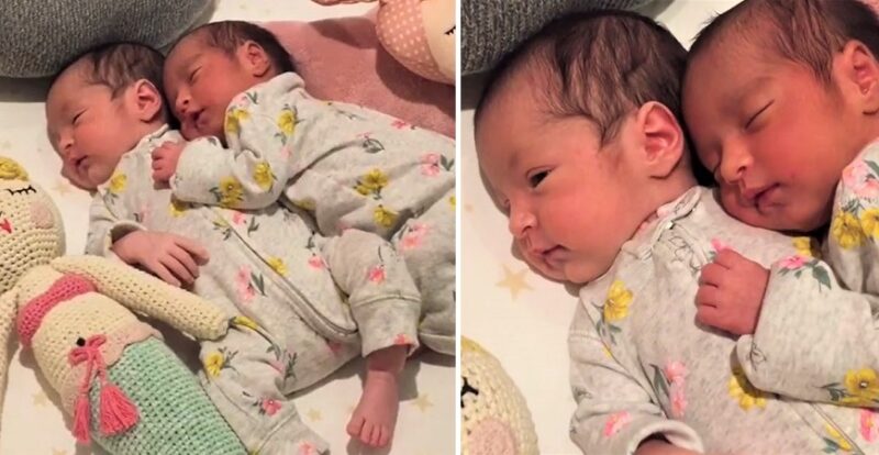 Video of newborn twins cuddling in their sleep has gone viral