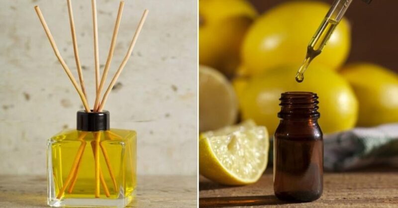 Homemade air freshener to make your house smell like citrus