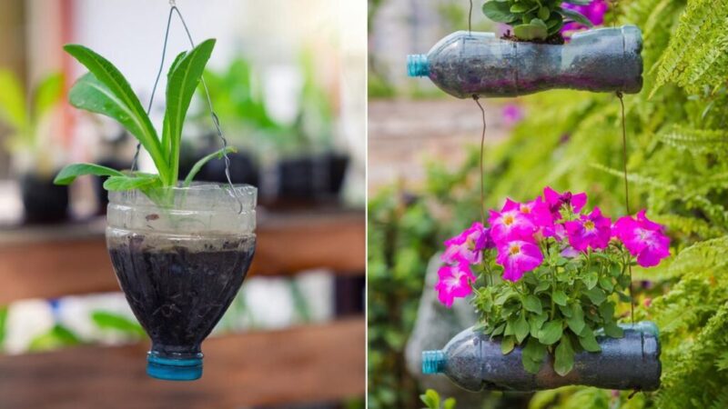 How to make Hanging Planters with Plastic Bottles or Cans