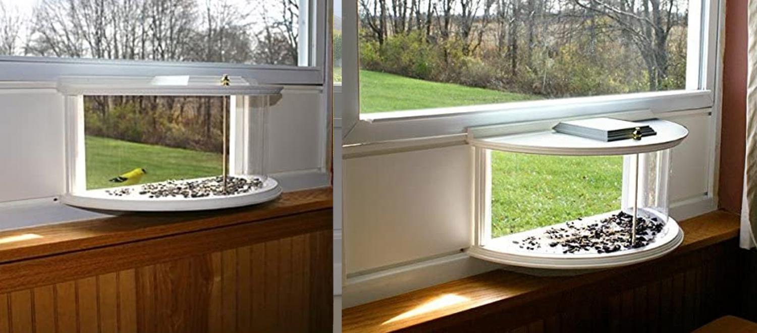 This Unique Bird Feeder Brings Birds and Squirrels Partially Into Your Home