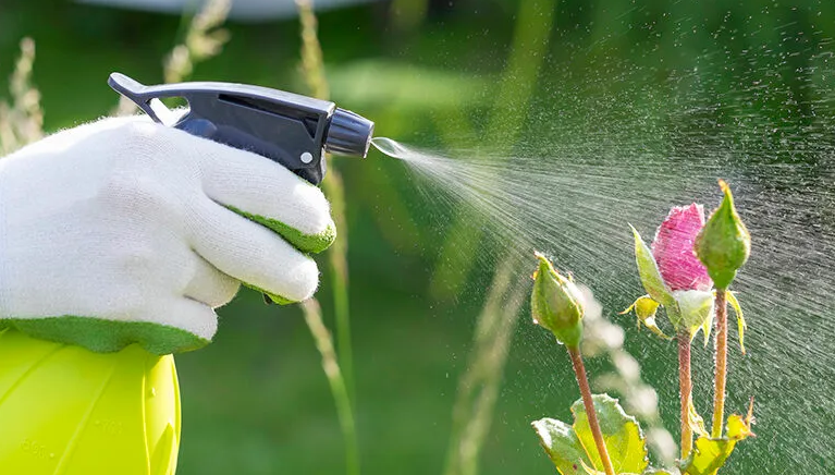 We have 7 Great Uses of Vinegar for Plant Lovers