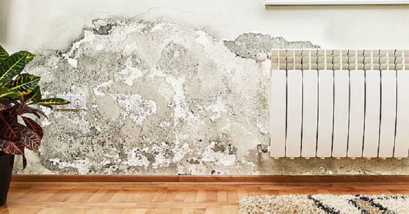 Eliminate Humidity Problems In Your Home (Easy Tricks)!