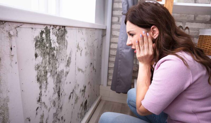 Remove Moisture in Your Home