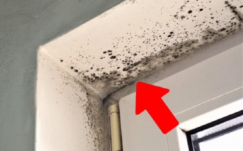 5 Tips to Combat Wet Walls