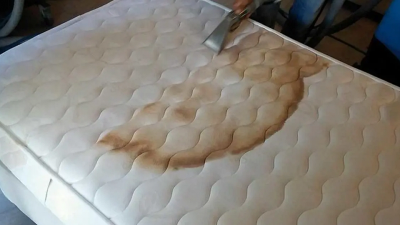 How to clean a dirty toilet and get rid of urine smell on sofa, mattress and bathroom