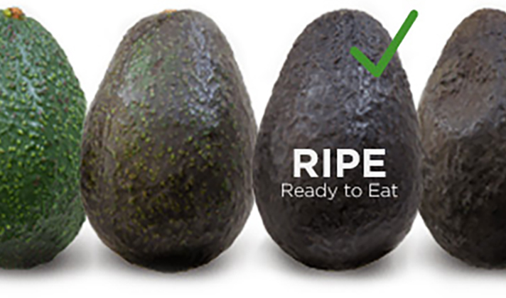 How to choose a good avocado fruit