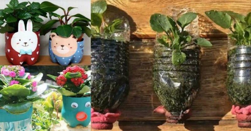 Learn to make pots with plastic bottles