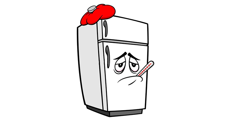 Refrigerator does not cool underside: causes and solutions
