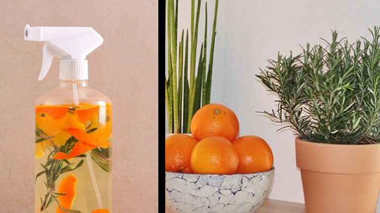 Orange and rosemary spray disinfectant to clean and make your home smell nice