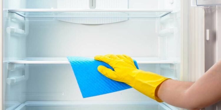 How to clean the fridge and remove the bad odor