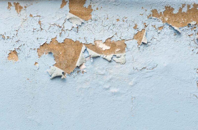 How to remove moisture from your home