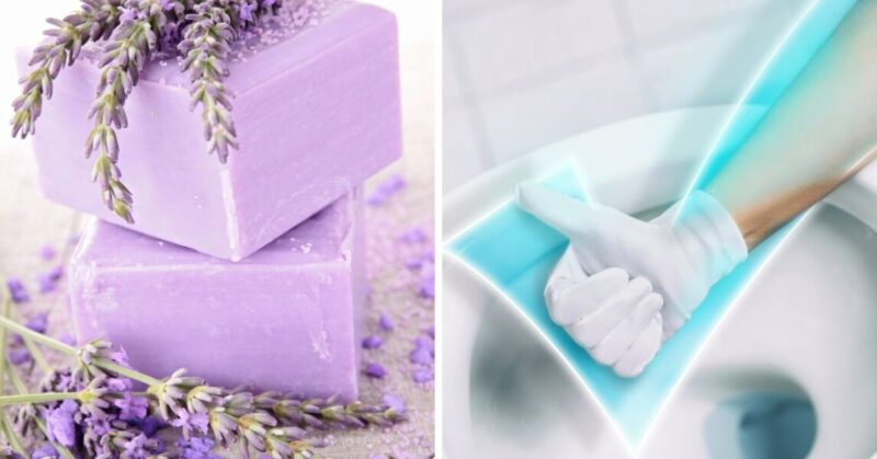 Homemade sanitary pills leave your bathroom well scented and totally disinfected!