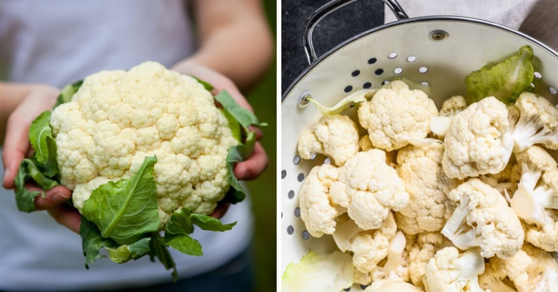 How to wash cauliflower to make it free from worms