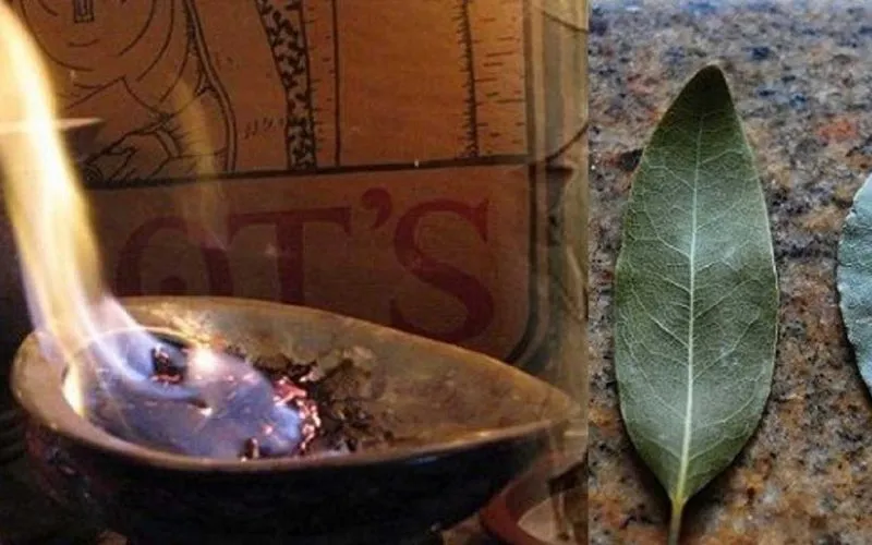 6 amazing health benefits of burning bay leaves