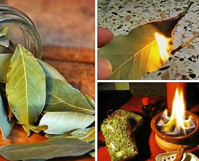 burning leafs