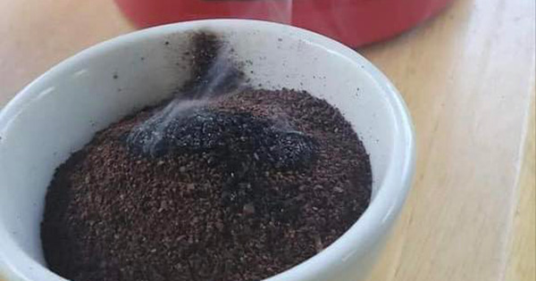 A Natural Alternative to Mosquito Repellents: The Ground Coffee Trick