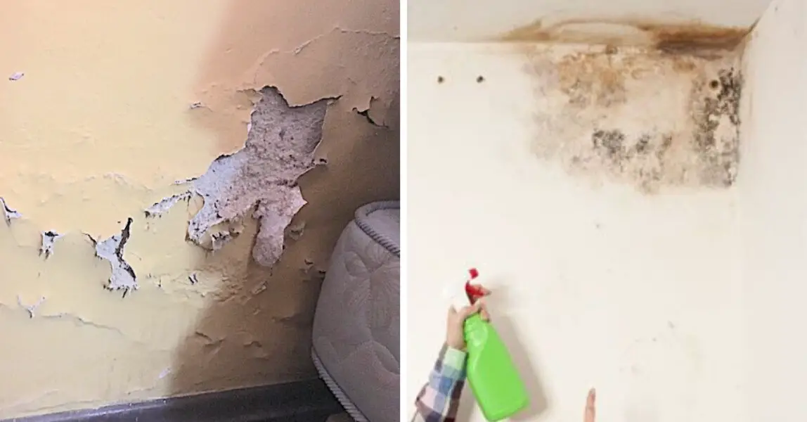 Say Goodbye to Wall Humidity Forever: Effective Solutions