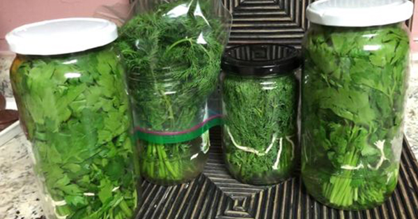 How to Store Parsley and Keep it Fresh For one Month