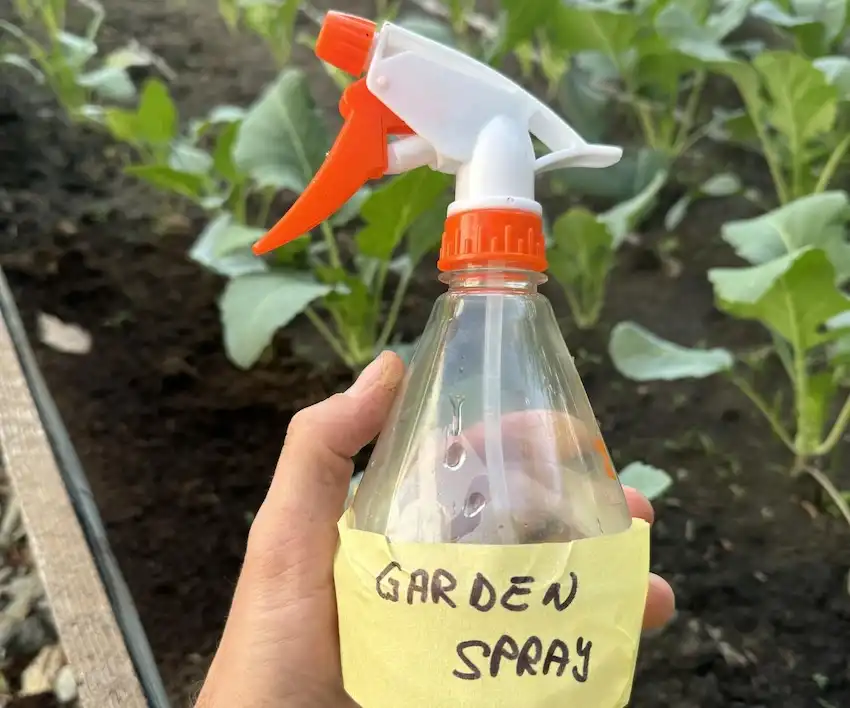 baking soda pesticide spray